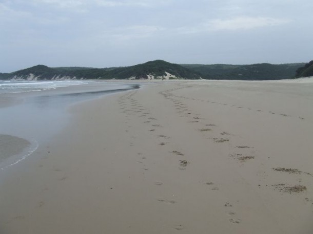Strand im Eastern Cape