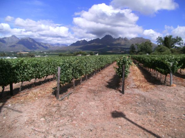 Weinanbaugebiete